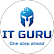 IT-Guru
